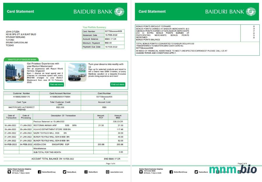 Szablon wyciągu bankowego Brunei Baiduri w programie Word i PDF